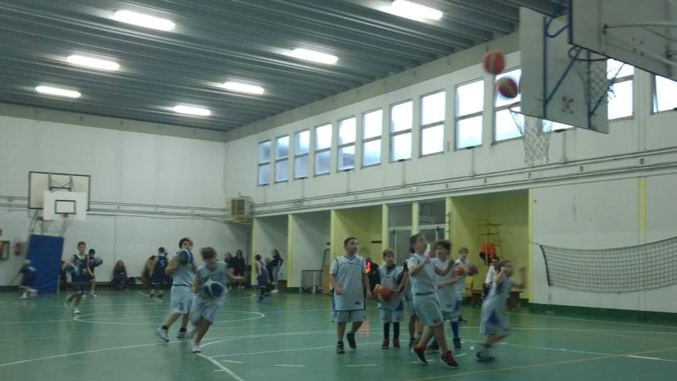 Aquilotti 2009-2010 - Campionato 2018/19 - ASD Follonica Basket
